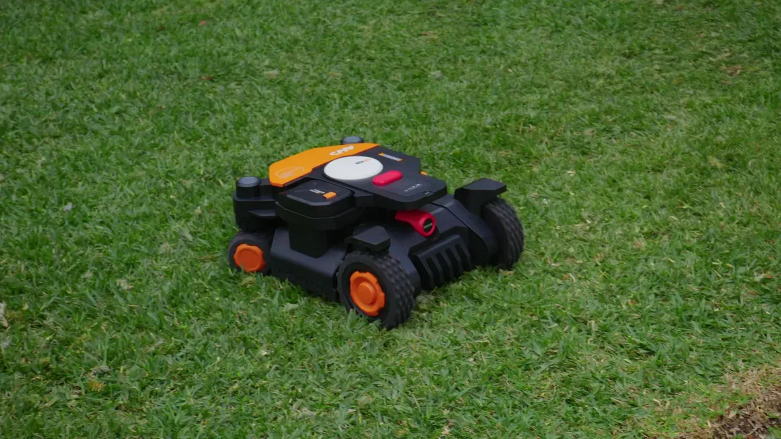 Pelouse parfaitement entretenue dans un jardin du Trégor